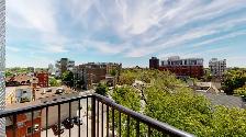 1 Bed 1 Bath, Available Now, in Centretown - Photo 12