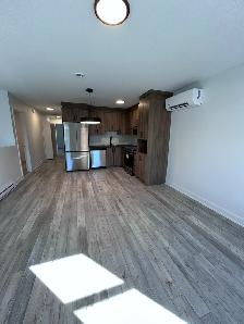Logement 2 chambres (4 1/2)  NEUF, Vieux-Aylmer, hydro inclus - Photo 2