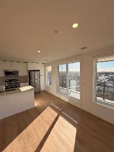 Available Now - 2 Bed 2 Bath Luxury Apartment - Photo 2