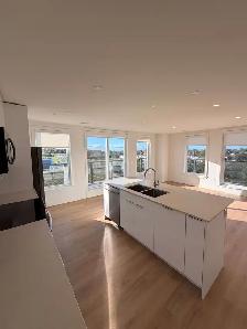Available Now - 2 Bed 2 Bath Luxury Apartment - Photo 3