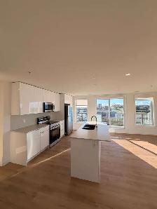Available Now - 2 Bed 2 Bath Luxury Apartment - Photo 6