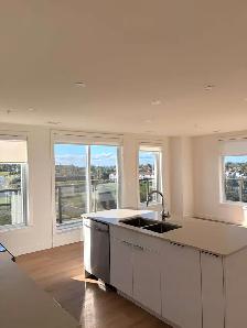 Available Now - 2 Bed 2 Bath Luxury Apartment - Photo 10