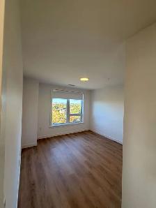 Available Now - 2 Bed 2 Bath Luxury Apartment - Photo 13