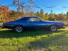 1975 Pontiac LeMans Coupe - Photo 2