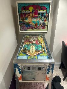 pin ball machines