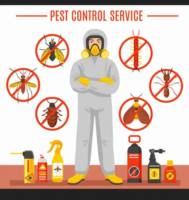 NEED BUGS GONE? We can do it!