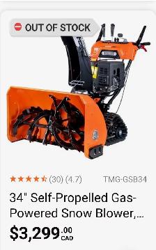 34" Self Propelled Snowblower - Photo 8