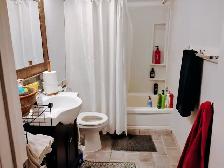 Looking for a quiet and mindful roommate - Photo 4