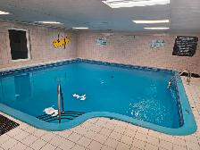 3½,4½,5½TRÈSBEAUX,GRANDS,PISCINE INT,SAUNA,CHAUFFÉ,ASCENSEURS - Photo 10