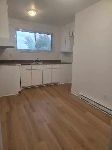 4-1/2 anjou , 1325$ eau chaude incluse - Photo 6