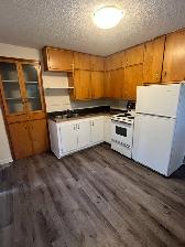 Furnished 1-Bedroom Unit Overlooking River