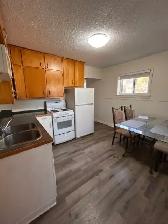 Furnished 1-Bedroom Unit Overlooking River - Photo 2