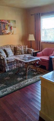 Furnished 1 bedroom 1 bath suite for 1 person only downtown Hunt - Photo 3