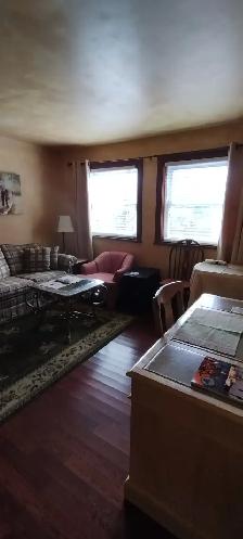 Furnished 1 bedroom 1 bath suite for 1 person only downtown Hunt - Photo 4