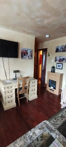 Furnished 1 bedroom 1 bath suite for 1 person only downtown Hunt - Photo 5
