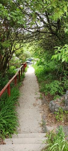 Furnished 1 bedroom 1 bath suite for 1 person only downtown Hunt - Photo 13