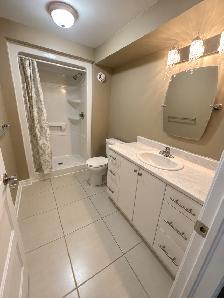 18292 KILKENNY ST, GLEN WALTER - Photo 9