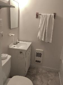 Spacious Basement Unit by Iron Horse Trail - Photo 4