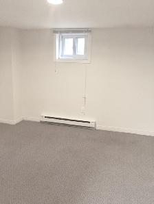Spacious Basement Unit by Iron Horse Trail - Photo 5