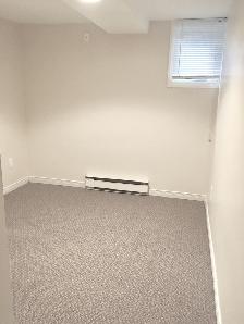 Spacious Basement Unit by Iron Horse Trail - Photo 7