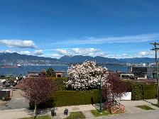 Kitsilano 1 bedroom for rent