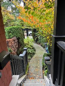 Kitsilano 1 bedroom for rent - Photo 4