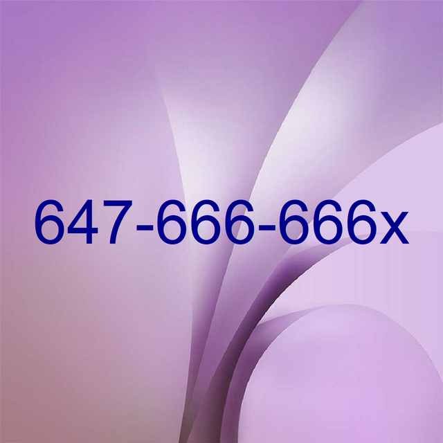 Get Noticed  Secure Your 416 647 905 Number Now