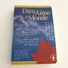 LIVRE NEUF FRANCAIS ADULTE, DIEU AIME LE MONDE, 640 PAGES: $5.00