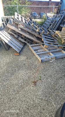 Free skids