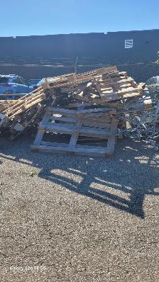 Free skids - Photo 2