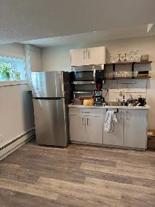 2 Bedroom basement suite - Photo 2