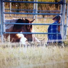 Horse training spots available! - Photo 4