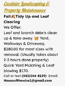 Fall Yard Tidy Up. Leaf/Debris Clearing & Removal. - Photo 2