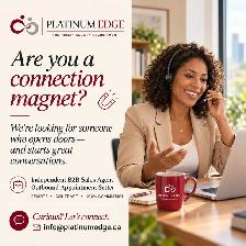 Remote B2B Sales Agent / Appointment Setter — 100% Commission - Photo 2