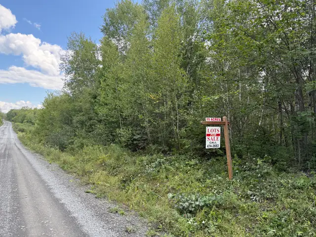 9.5 (10) Acres in Rusagonis / Lincoln