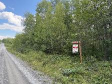 9.5 (10) Acres in Rusagonis / Lincoln