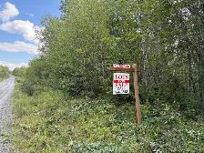 9.5 (10) Acres in Rusagonis / Lincoln - Photo 2