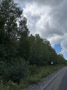 9.5 (10) Acres in Rusagonis / Lincoln - Photo 3