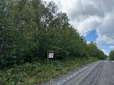 9.5 (10) Acres in Rusagonis / Lincoln - Photo 4