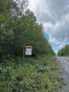 9.5 (10) Acres in Rusagonis / Lincoln - Photo 6
