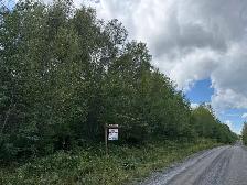 9.5 (10) Acres in Rusagonis / Lincoln - Photo 7