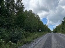 9.5 (10) Acres in Rusagonis / Lincoln - Photo 8