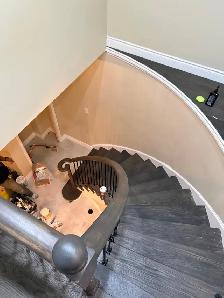 Bathroom Renovation & Basement Finishing - Photo 2