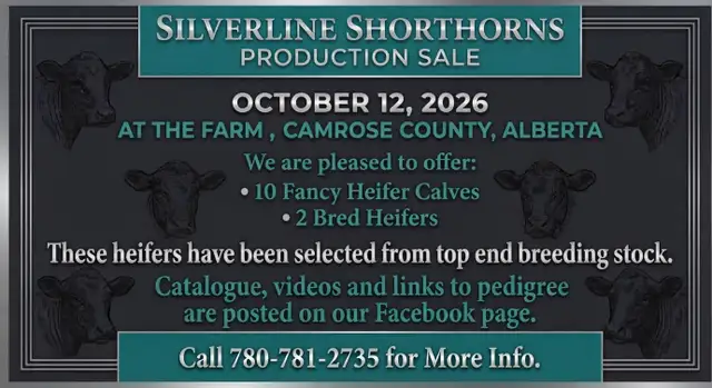 Shorthorn Sale