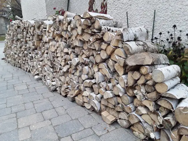 TRANSCONA Birch Firewood Lady