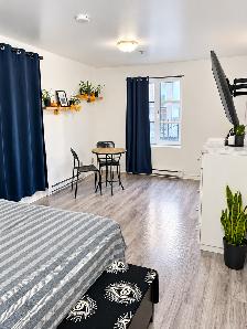 50% 1er Mois - 2 1/2 Rénové Metro Papineau Montréal Appartement - Photo 2