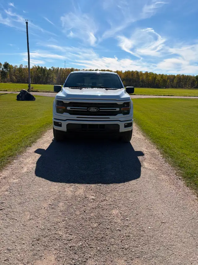 2024 F150 STX