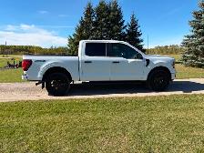 2024 F150 STX - Photo 4