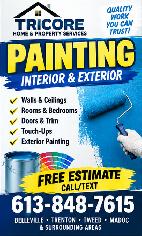 Tricore Home & Property Services Drywall and Painting - Photo 2