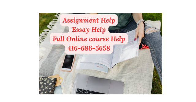 Urgent assignment help, Essay help, Nursing, Online course help